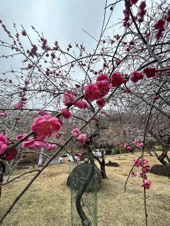 備前焼ギャラリー山麓窯と備前市西片上へ