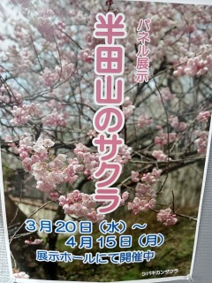 半田山植物園と岡山県立博物館へ