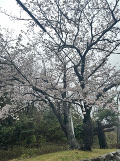 深山公園へ