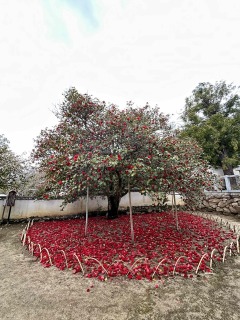 圀勝寺へ