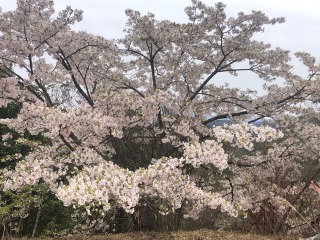 たけべの森公園へ