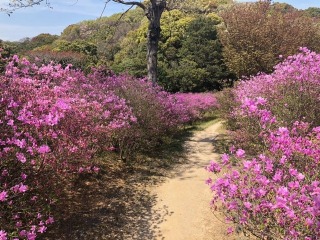 牛窓神社へ