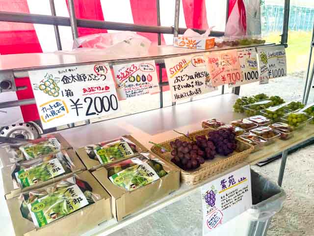 箱図召されて店頭に並ぶ金太郎ぶどう