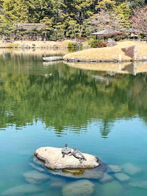 岡山後楽園