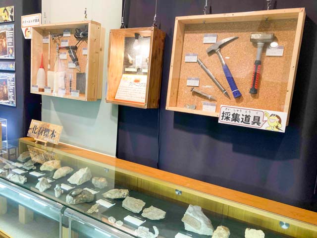 化石標本や採集道具