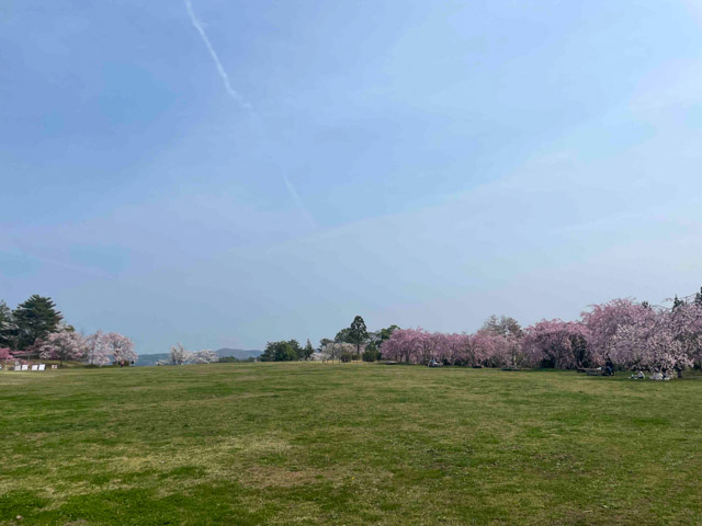 たけべの森公園