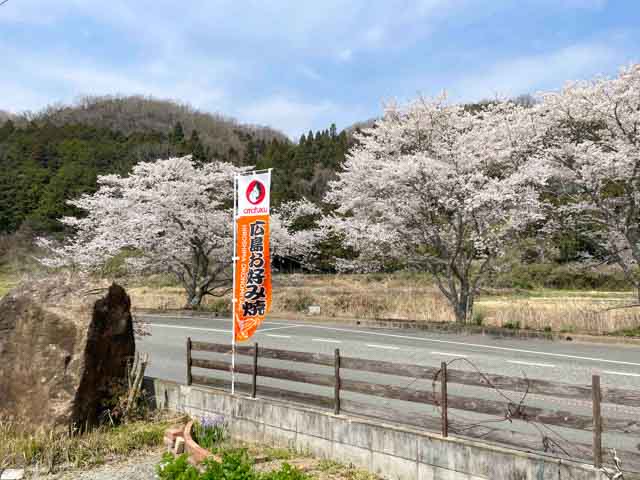 お店の前の桜並木