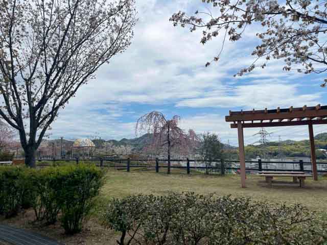 つばきの丘運動公園