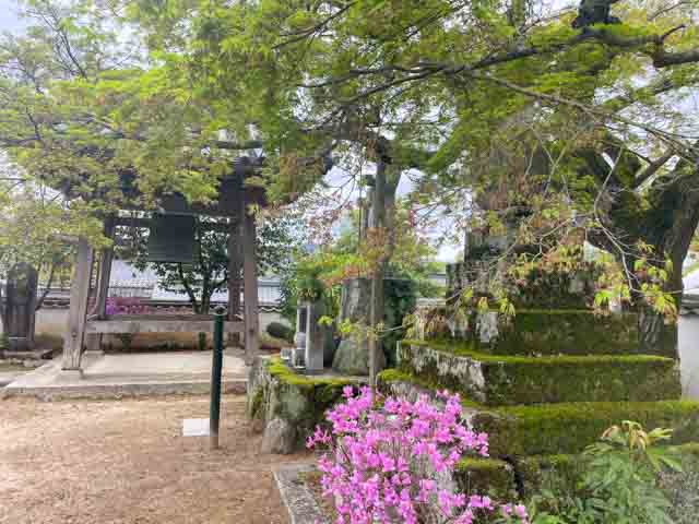 花々が彩りを添えている、圀勝寺