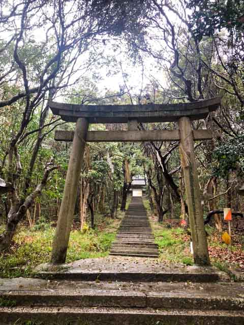 鳥居から見える石段