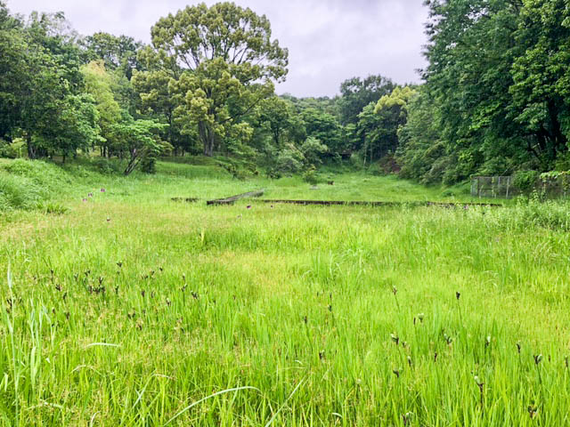 医療法人創和会重井薬用植物園　風景