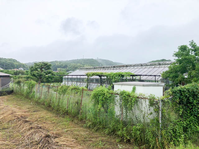 医療法人創和会重井薬用植物園 風景