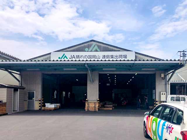 JA晴れの国岡山連島集出荷場