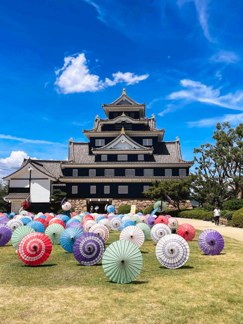 夏の烏城灯源郷