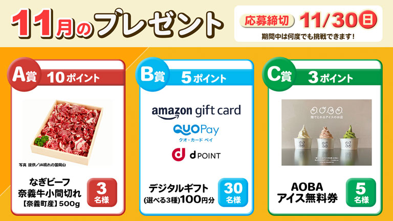 ポイントプレゼント11月