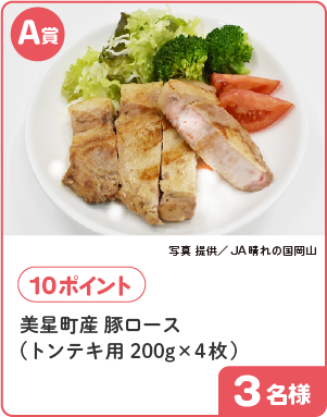A賞 10ポイント 美星町産 豚ロース(トンテキ用 200g×4枚) 3名様