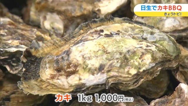 1kg 1000円