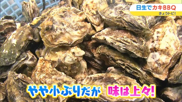 日生の牡蠣　小ぶりだが、お味は間違いない
