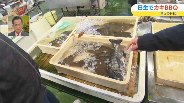 たくさんの魚