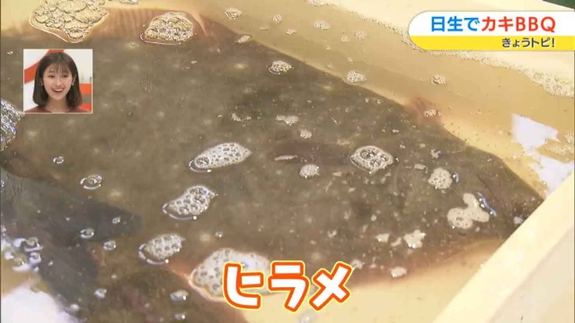 ヒラメ