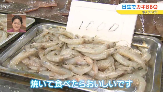 シラサエビ