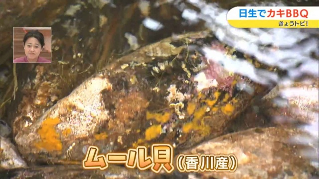 ムール貝