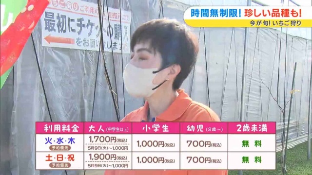 いちご狩り詳細