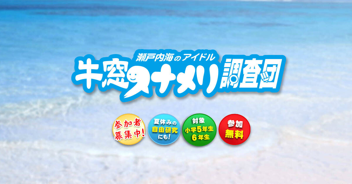 牛窓スナメリ調査団｜RSK山陽放送