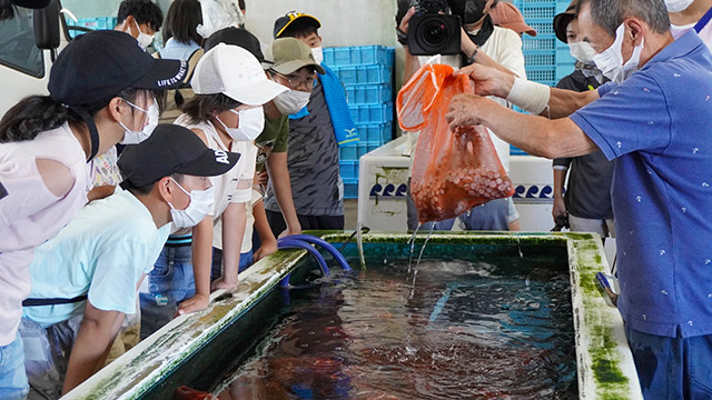 岡山県の漁業について知ろう！牛窓町漁業協同組合を見学