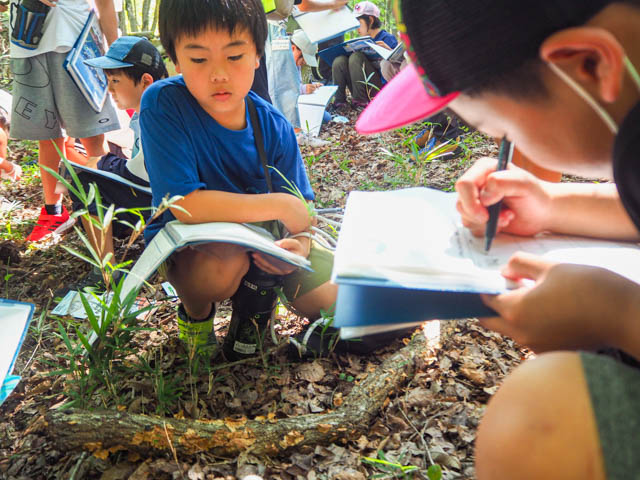 【山編】海の栄養は、山の土にあり？山を観察！