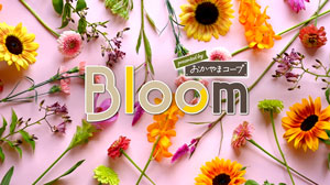 Bloom