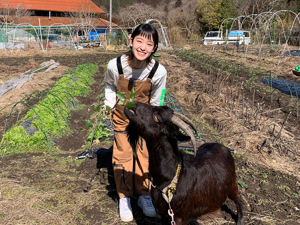 剛力さんとヤギ