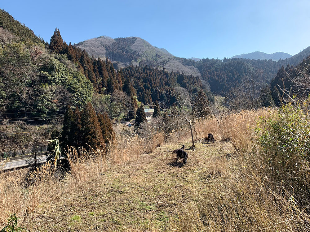 岡山の風景