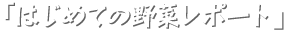 「はじめての野菜レポート」