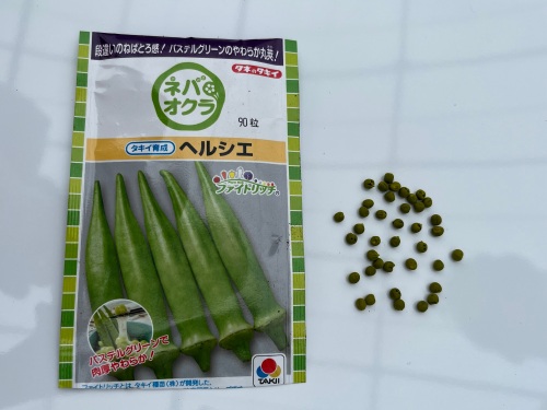 オクラの種