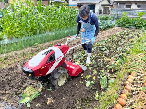 次の栽培のために畑を耕す作業