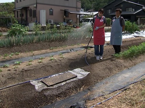 水やりをする難波リポーターとたむたむ
