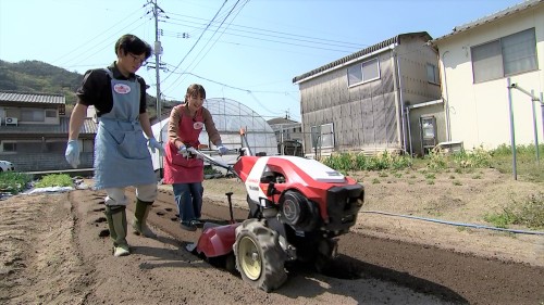耕うん機で畑を耕す