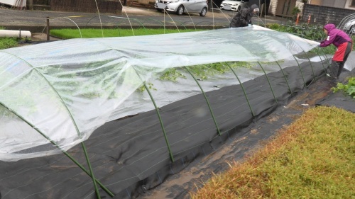 雨から守るトンネルを作る