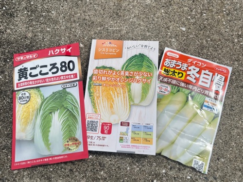 秋冬野菜の種(中生～晩生の品種)を畑にまく時期