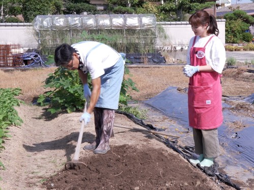 土が乾いてから耕す