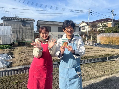 ゴボウの栽培に挑戦