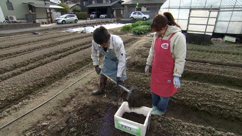 今回は鉄パイプを立てました