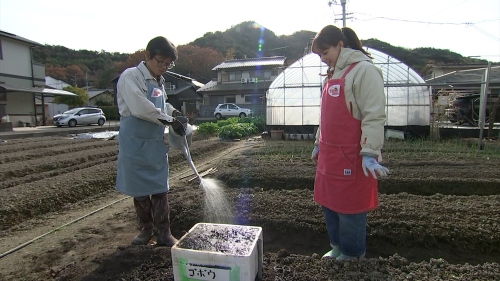 優しく水をやりますよ