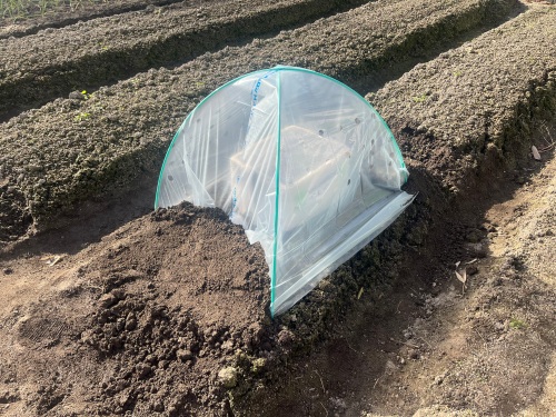 ビニールシートをかぶせる