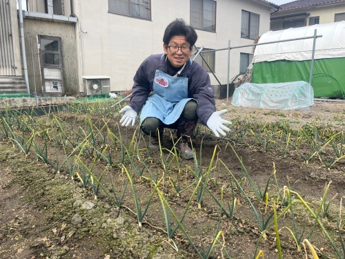 タマネギ畑とたむたむ