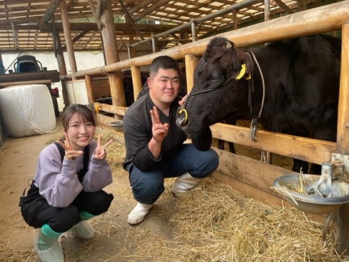 りきちゃん　令和2年産　山形県産　24キロ　10本 mqdefault.jpg
