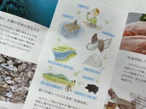 「里海黒豚」の説明資料