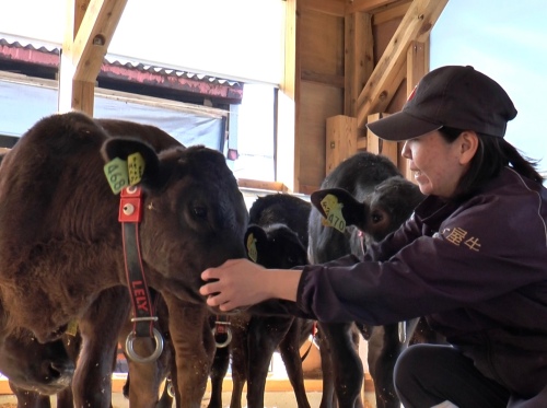 大屋日香里さん