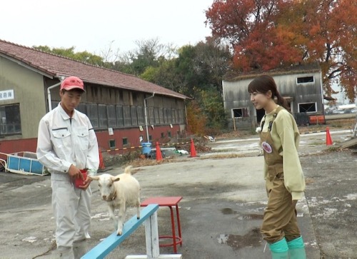 興陽高校で飼育しているヤギのみるく